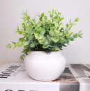 Vasinho de Cerâmica com Eucalipto Artificial | Decoração Elegante - Angel & Home