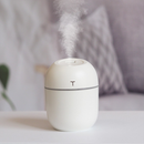 Mini Umidificador Difusor Aromatizador Egg Portátil Usb Led Aromatizador De Ambiente Purificador De Ar Casa Escritório Escola