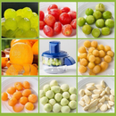 Descascador Elétrico de Alho Frutas e Vegetais Automático – Design Portátil e Bateria Recarregável via USB