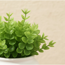 Vasinho de cerâmica com folhagem de eucalipto artificial para decoração